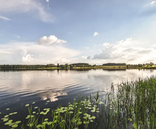 ზალესი მაზურის აქტიური სპა 01