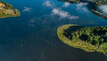 განთავსება